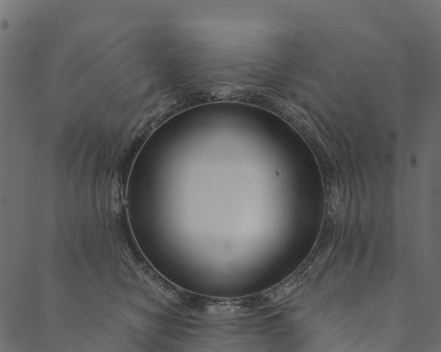 X0000089660470200707121203