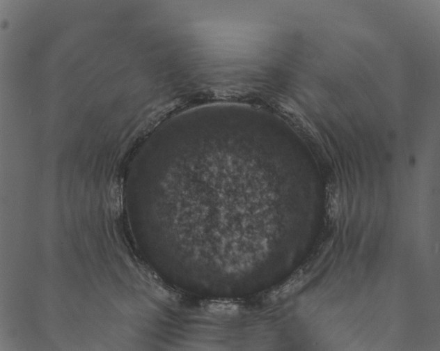 X0000089660471200707121203