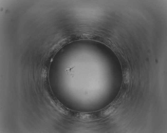 X0000089660472200707121203