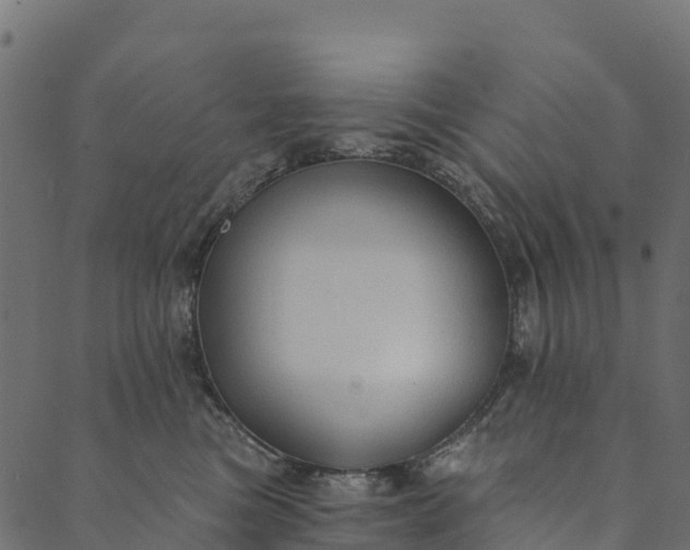 X0000089660473200707121203