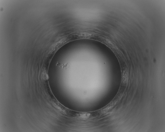 X0000089660474200707121203