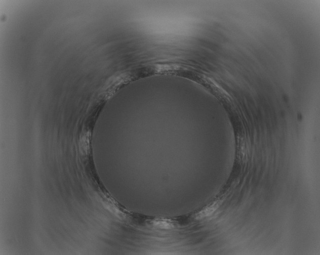 X0000089660475200707121203