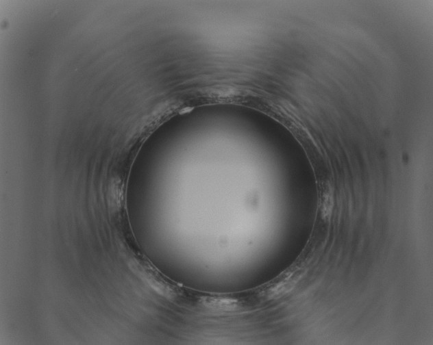 X0000089660476200707121203