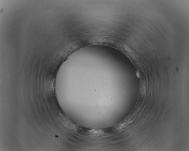 X0000089660477200707121203