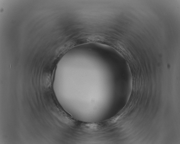 X0000089660478200707121203