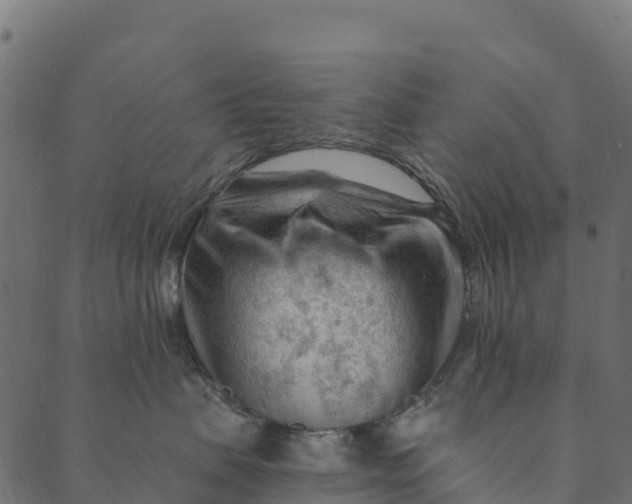 X0000089660479200707121203