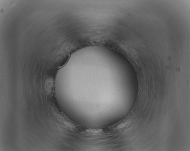 X0000089660480200707121203