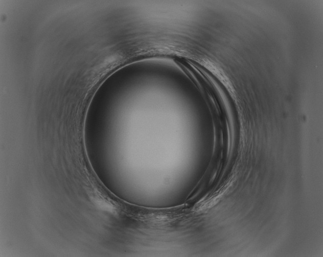 X0000089660481200707121203