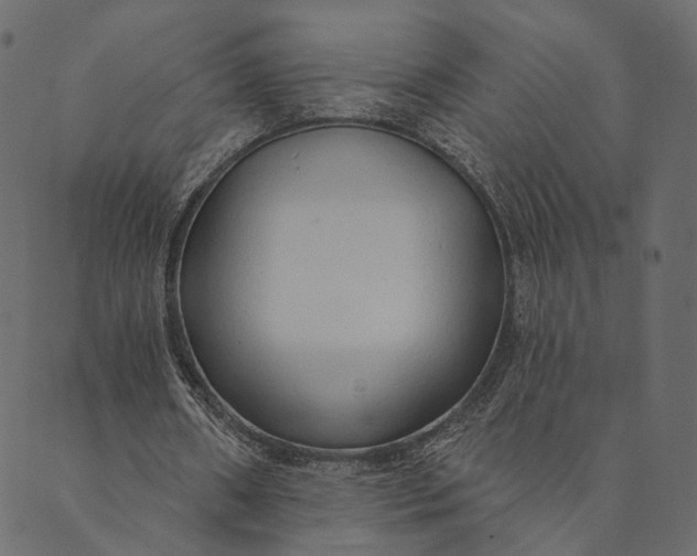 X0000089660482200707121203