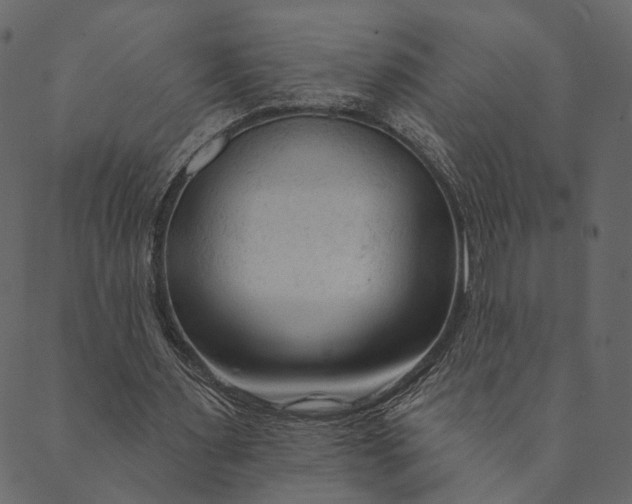 X0000089660483200707121203