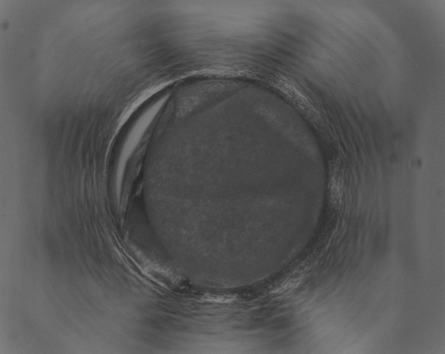 X0000089660484200707121203