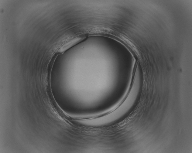 X0000089660485200707121202