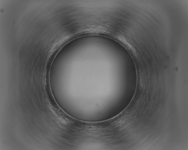 X0000089660486200707121202