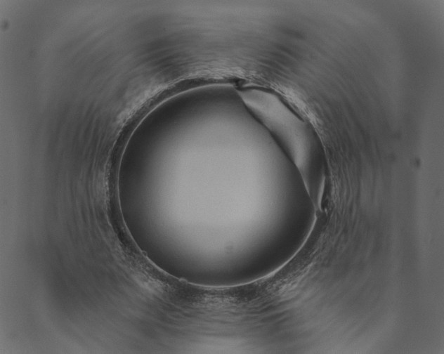 X0000089660487200707121202