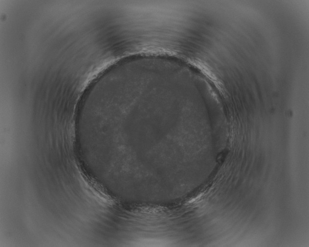 X0000089660488200707121202