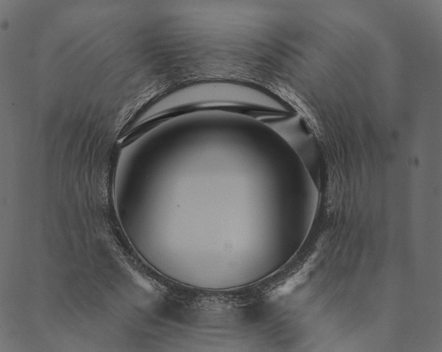 X0000089660489200707121202