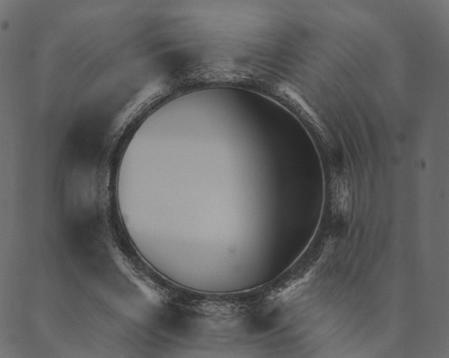 X0000089660490200707121202