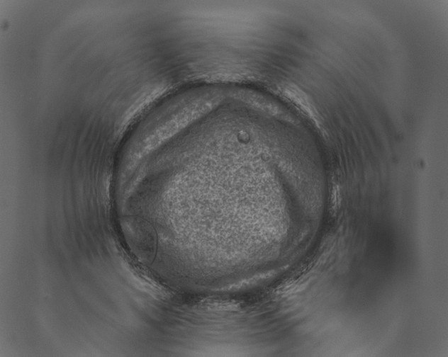 X0000089660491200707121202