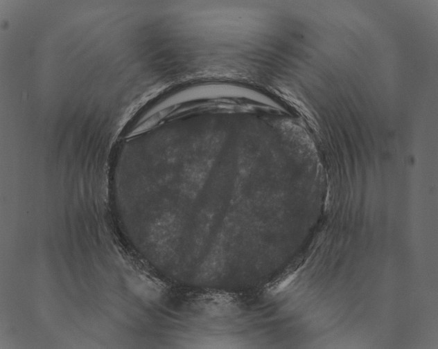 X0000089660492200707121202