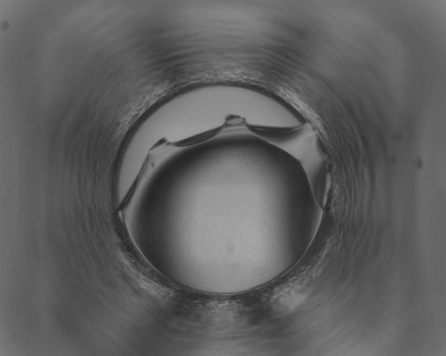 X0000089660493200707121202