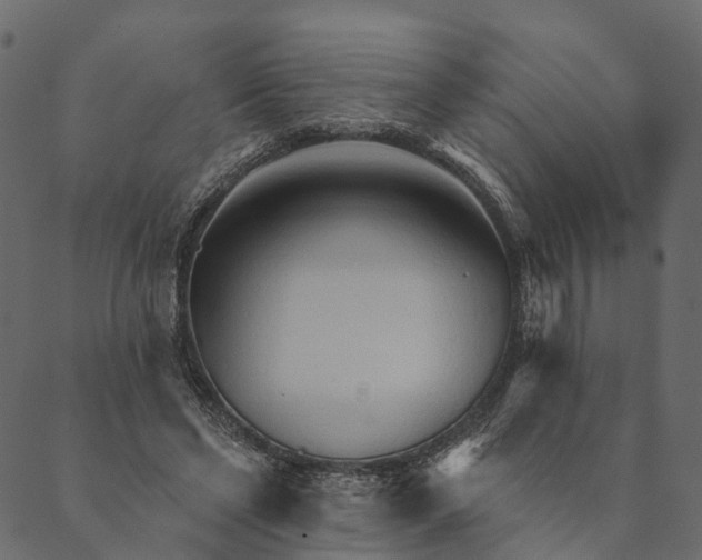 X0000089660494200707121202