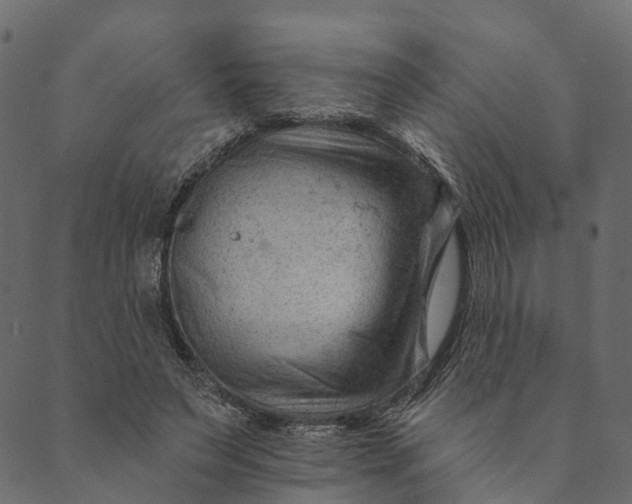 X0000089660495200707121202