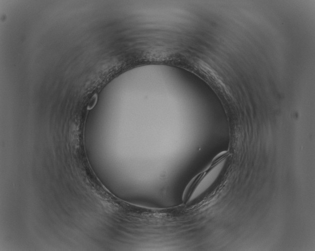 X0000089660497200707121202