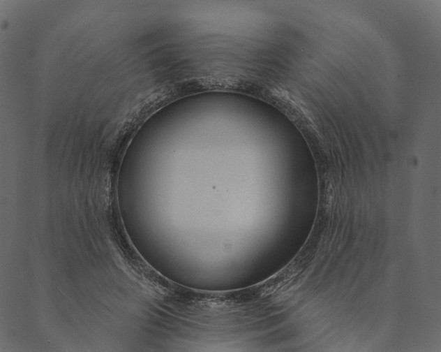 X0000089660498200707121202