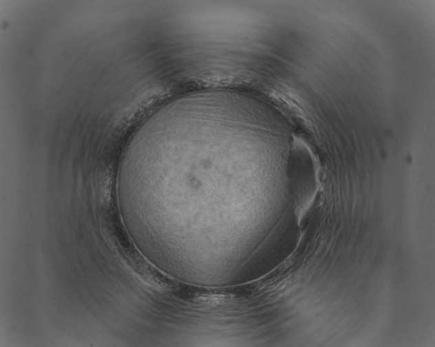 X0000089660499200707121202