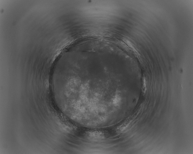 X0000089660500200707121202