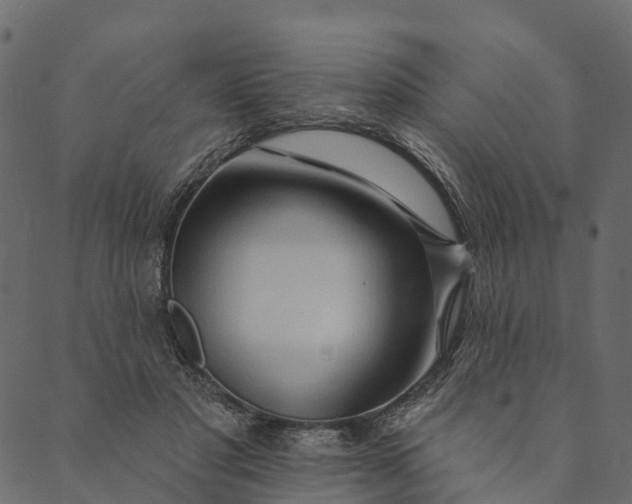 X0000089660501200707121202