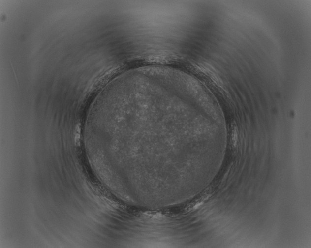 X0000089660502200707121202