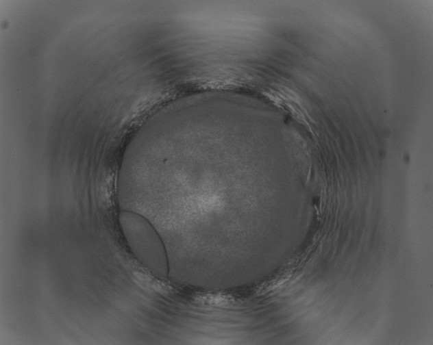 X0000089660503200707121202