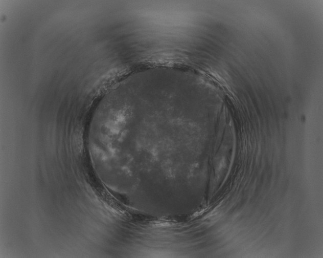 X0000089660504200707121202