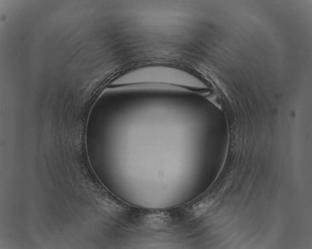 X0000089660505200707121202