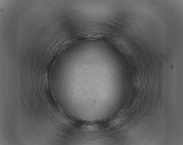 X0000089660506200707121202