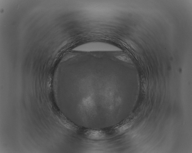 X0000089660507200707121202