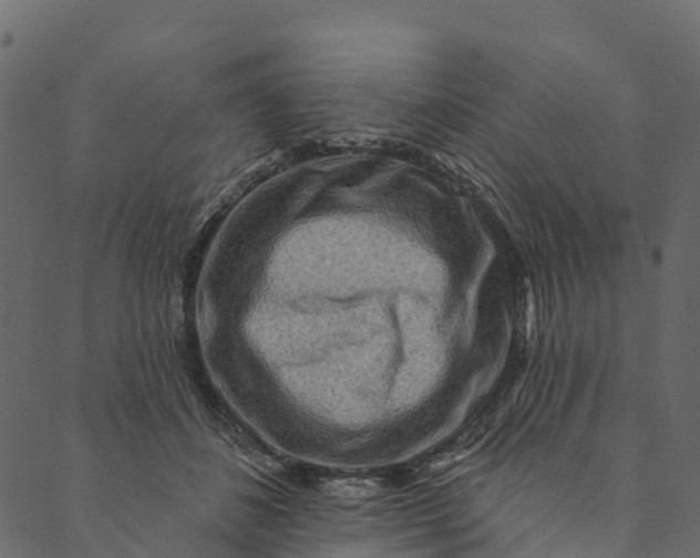 X0000089660508200707121202