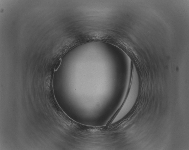 X0000089660509200707121202