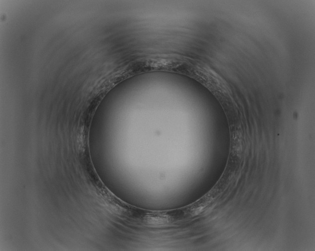 X0000089660510200707121202