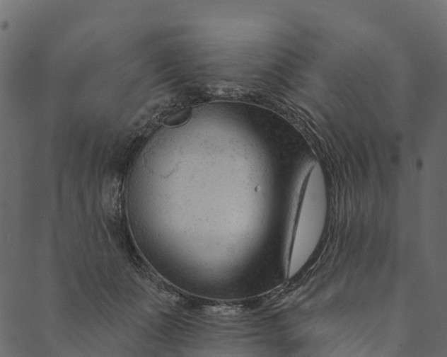 X0000089660511200707121202