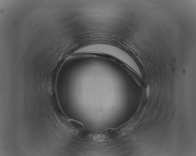 X0000089660512200707121202