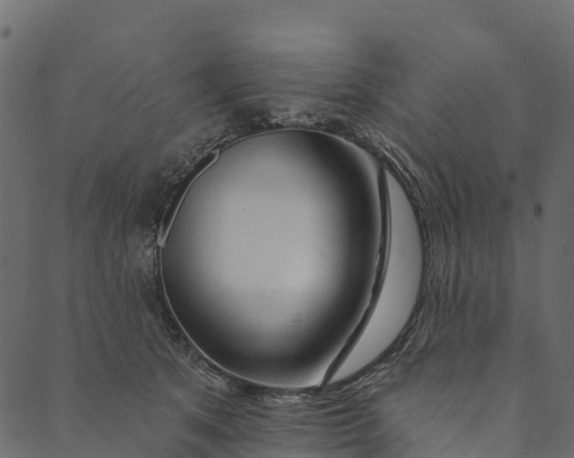 X0000089660513200707121202