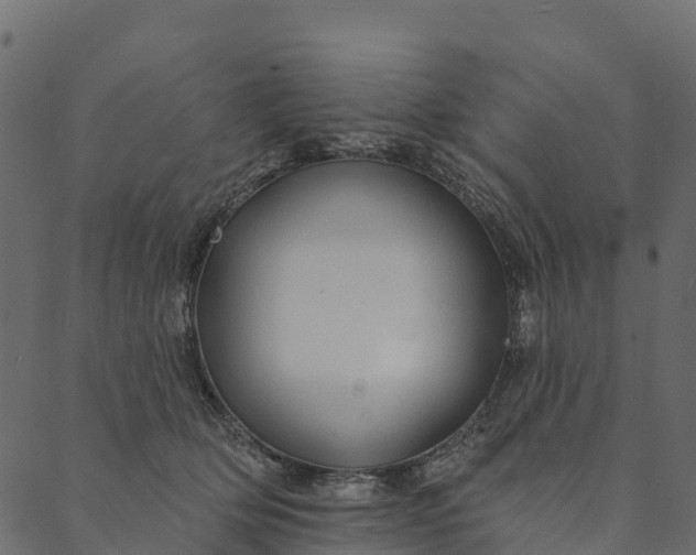 X0000089660514200707121202