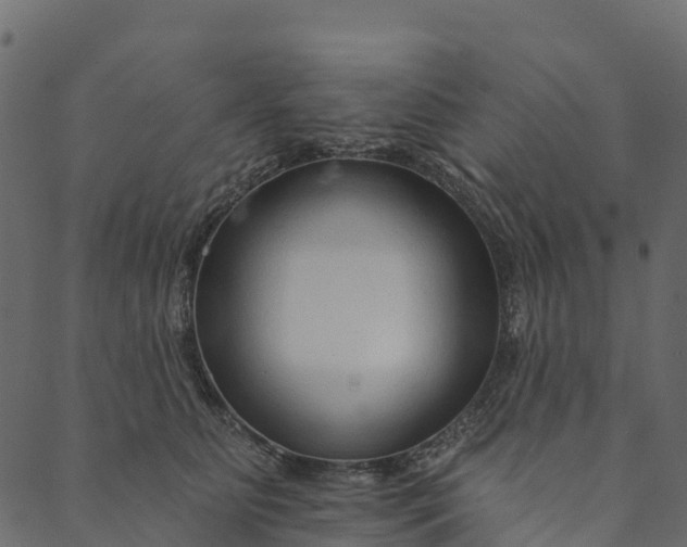 X0000089660515200707121202