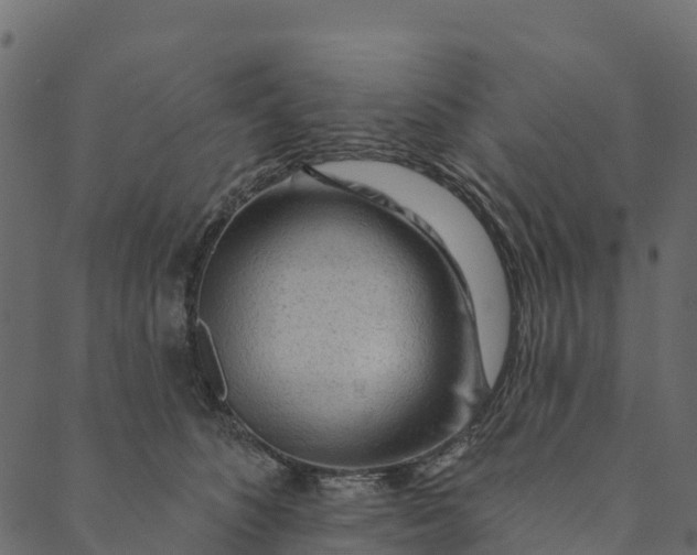 X0000089660516200707121202