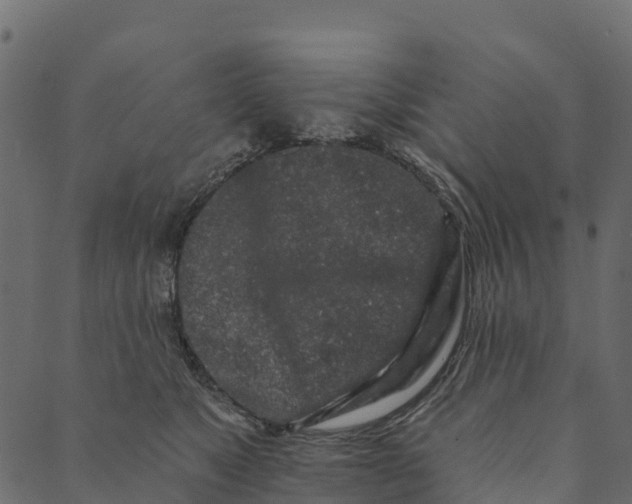 X0000089660517200707121202