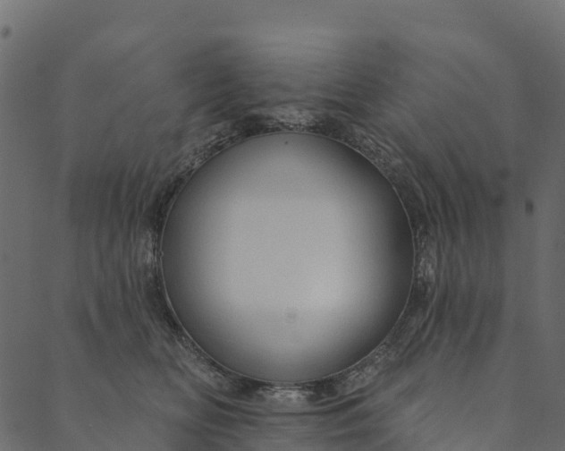 X0000089660518200707121202