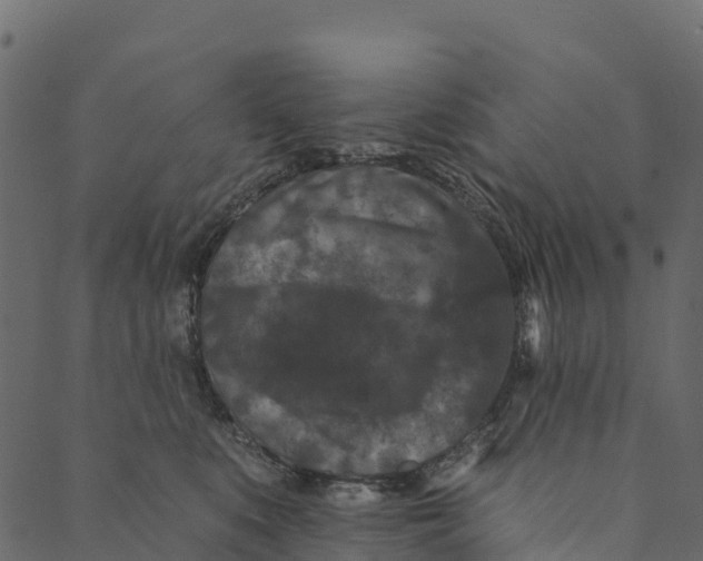 X0000089660519200707121202