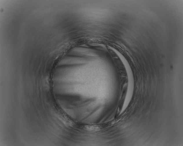 X0000089660520200707121202